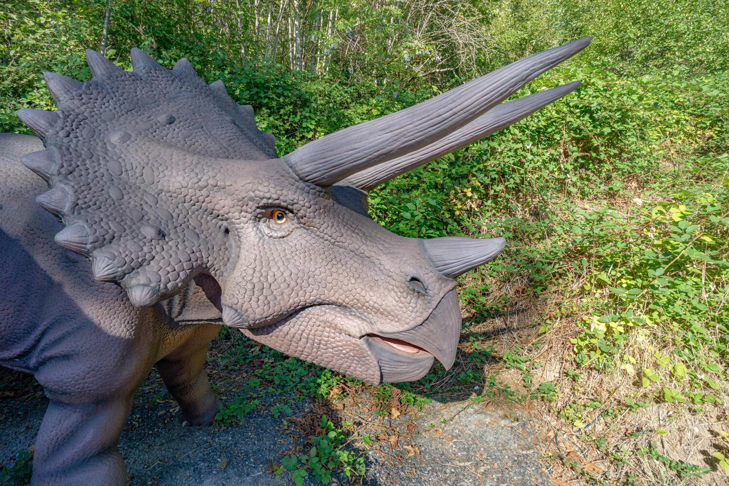 Jurassic Rebirth Out On Jul 2 - Book Your Stay Now (Adults Only) Washougal Dış mekan fotoğraf
