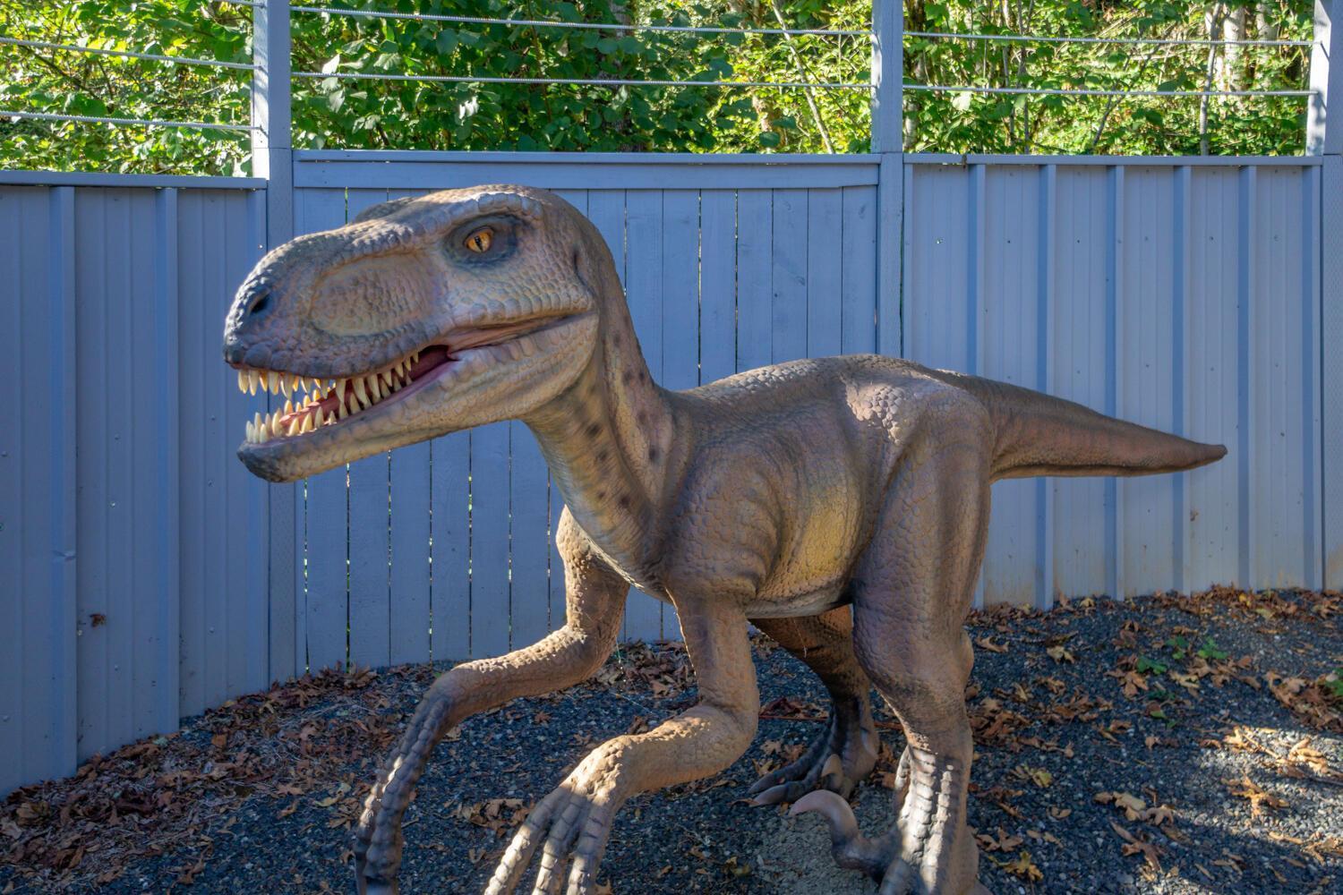 Jurassic Rebirth Out On Jul 2 - Book Your Stay Now (Adults Only) Washougal Dış mekan fotoğraf